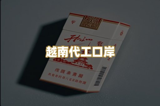 越南代工口岸